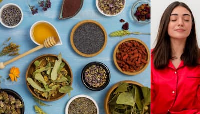 Stress Management: 5 Ayurvedic Herbs To Add To Your Lifestyle- Expert Shares Insights