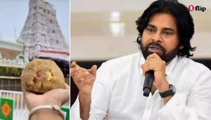 Pawan Kalyan Tirupati Laddu