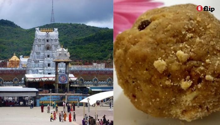 Tirupati Laddu