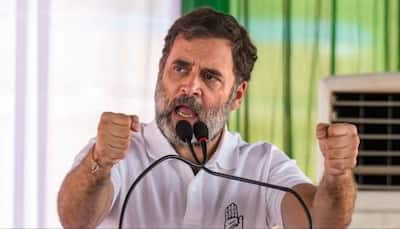 ‘BJP People Spread Hatred’: Rahul Attacks Saffron Camp In Haryana, Bats For ‘Mohabbat Ki Dukan’