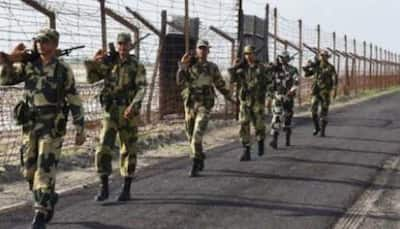 Around 150 Militants Waiting At Launchpads Across LoC: BSF Officer