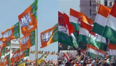 Maharashtra, Jharkhand Polls: BJP Aims To Capitalise On Haryana Momentum; Congress Writing Comeback Script