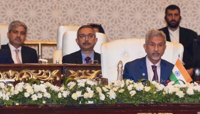 At SCO Summit In Pak, Jaishankar Lists 'Terrorism, Extremism, And Separatism' As 3 Threats To Cooperation