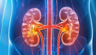 PFAS Exposure Linked To Decreased Kidney Function: New Study Reveals Health Risks