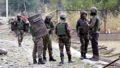 Terrorists Kill Non-Local in Jammu and Kashmir's Shopian, Probe Launched