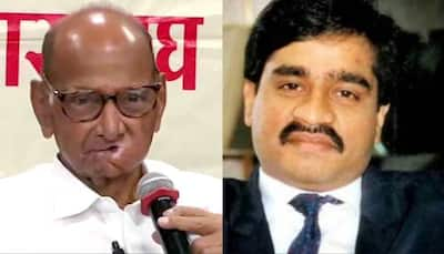 Sharad Pawar Met Dawood In Dubai, Govt Must Clarify: Prakash Ambedkar