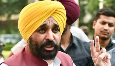 ‘If PM Modi Can Stop Ukraine War…’: Bhagwant Mann Seeks Centre’s Intervention Over Stubble Burning Issue