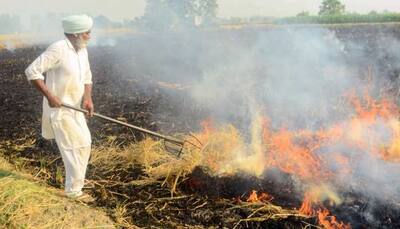 ‘Mere Eyewash’: On Stubble Burning, Air Pollution, Supreme Court Raps Punjab, Haryana, Centre