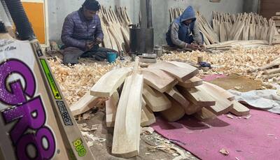 Kashmir Willow Bats Declared Handicraft, Set To Rival English Willow