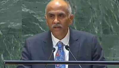 ‘Ready To  Do More  For Palestinians People’: India At UN On Middle East Situation