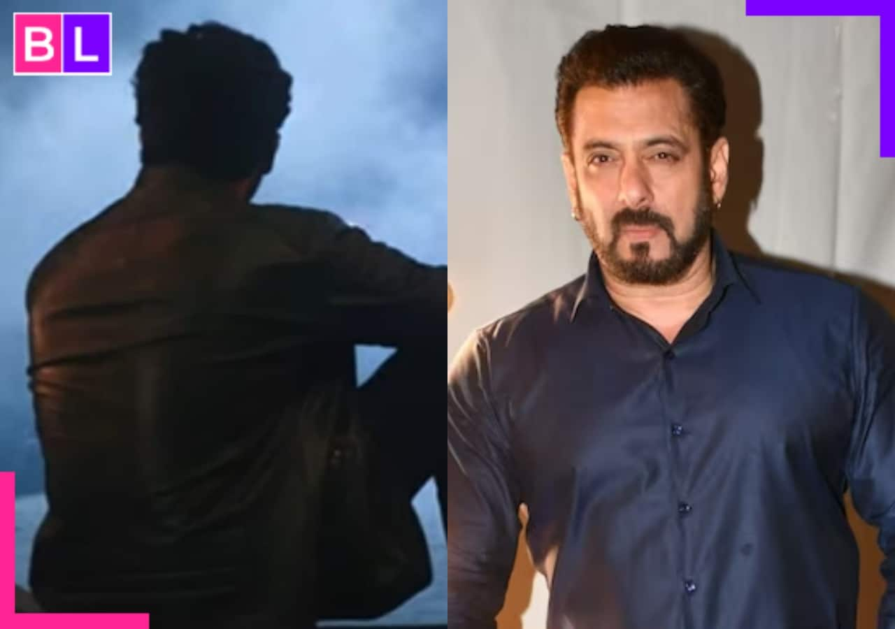 Bigg Boss 18: Meet the actor who was removed from a top TV serial is set to enter the Salman Khan’s show