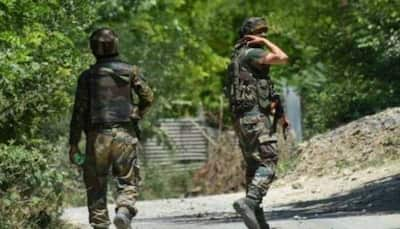 Jammu And Kashmir: Two Militants Killed In Encounter With Security Forces In Anantnag