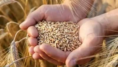 Govt Takes Big Steps To Control Prices Of Rice, Wheat; Launches Phase 2 Of Subsidised Bharat Atta, Rice