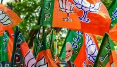 Jharkhand Polls: BJP Expels 30 Leaders For Contesting Against Party-Nominated Candidates Ranchi