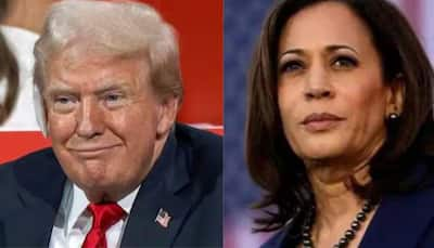 US Presidential Election: Five Key Factors Defining The Trump Vs Harris Battle