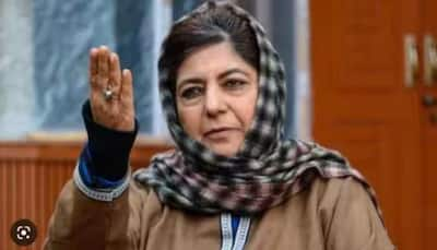 Mehbooba Mufti Criticizes NC Resolution On Article 370, Calls For Stronger Language And Clarity