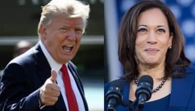 Shift In Allegiances: Trump’s Unexpected Appeal And Harris’s Dwindling Prospects