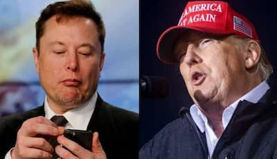 ‘Let That Sink In’: Musk, Trump Supporters Flood X With Memes After Historic Win