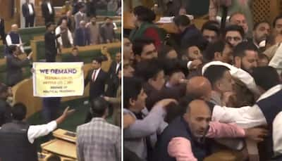 Brawl In J&K Assembly As Special Status Resolution Sparks Violent Protest