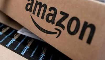 ED Conducts Raids On Multiple Sellers Linked To E-com Players Including Amazon, Flipkart