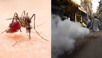 Dengue Alert: Gurugram Faces Surge In Cases With Over 175 Confirmed