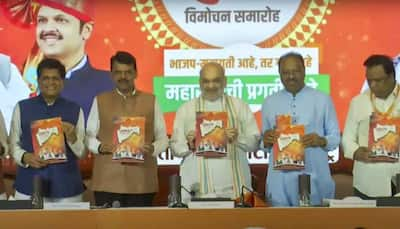 Maharashtra: After Ladki Bahin, BJP's Another BIG Poll Promise For Women Voters In Manifesto