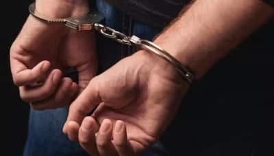 2 US Nationals Held In Bihar For Trying To Illegally Enter Nepal: Police