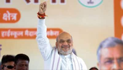 ‘Even If Indira Gandhi Returns…’: Amit Shah Jabs Congress In Maharashtra On Article 370