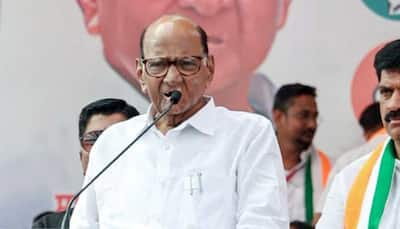 Sharad Pawar Slams Mahayuti Govt For Rise In Crimes Against Women; Attacks Fadnavis