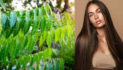 Health Benefits Of Neem: Popular Home Remedies For Acne, Dandruff, And Scalp Care