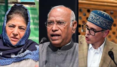 J&K News: Mehbooba Mufti, Oppn Seek National Conference's Clarification On Article 370 Resolution After Kharge's Remarks