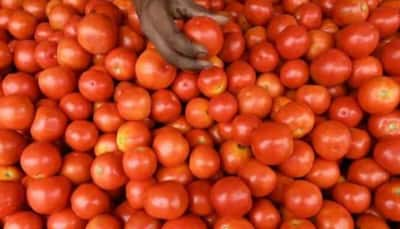 Tomato prices drop 22.5% As Flow Of Fresh Crop Picks Up Pace