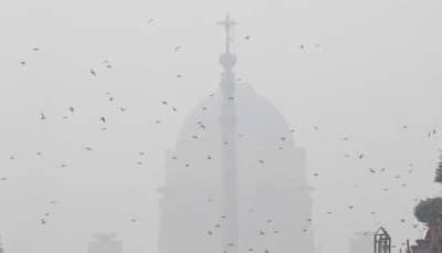 Delhi Air Pollution: AQI Reaches 'Severe Plus' Level, GRAP-IV Implemented, Primary Schools Closed