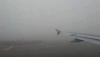 Advisory For Flyers! Delhi Airport Activates Low-visibility Measures; Indigo, Spicejet Indicate Flight Delays