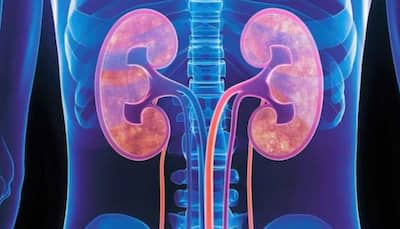 Japanese Study Finds Diabetes Drug That Protects Kidney Health