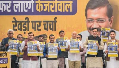 ‘Education, Electricity, Mohalla Clinics’: AAP's 7 'Revdis' Ahead Of Delhi Elections