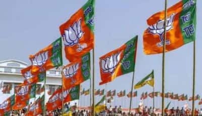 Maharashtra Polls: 15 Mahayuti Candidates In 1-Lakh Victory Margin Club; BJP Leads With 8