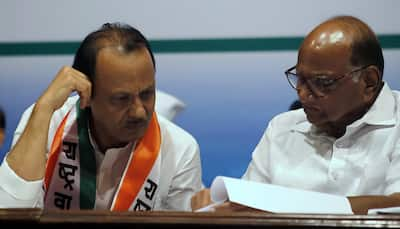 Maharashtra Elections: Ajit Pawar Defies Uncle Sharad Pawar’s Shadow; Wins Big In Baramati