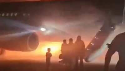 Russian Plane Boarding 89 Passengers Catches Fire After Landing In Turkey: Watch Video