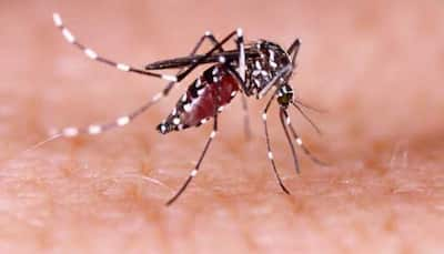 Breakthrough Malaria Vaccine Shows 89% Efficacy In Small Clinical Trial