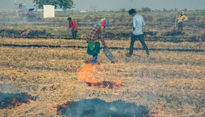 ‘Slow To Act’: SC Flays Punjab, Haryana Govts Over Stubble Burning