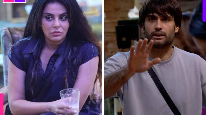 Bigg Boss 18: Sara Arfeen Khan comments on Vivian Dsena's ex-wife Vahbiz Dorabjee