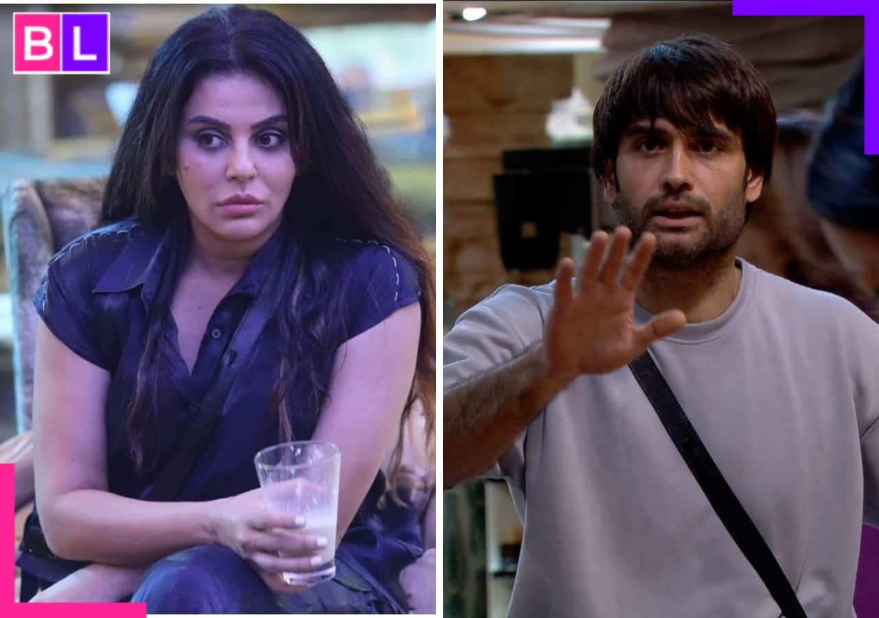 Bigg Boss 18: Sara Arfeen Khan comments on Vivian Dsena’s ex-wife Vahbiz Dorabjee