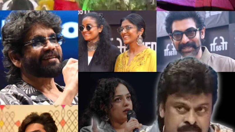 2007 to 2024 – Telugu Cinema Have Come to A Long Way At The Goa Film Festival 