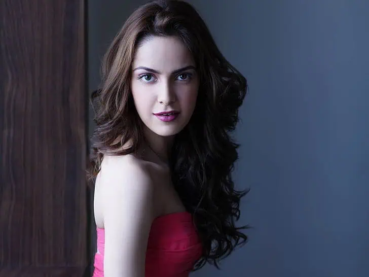 Orange Heroine Shazahn Padamsee Gets Engaged