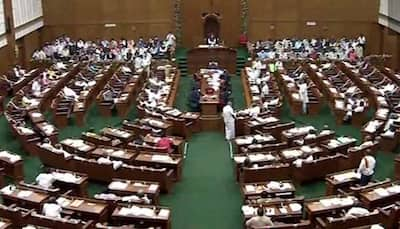 Rift In Karnataka BJP? Two MLAs Defy Party Decision Amid Waqf Debate