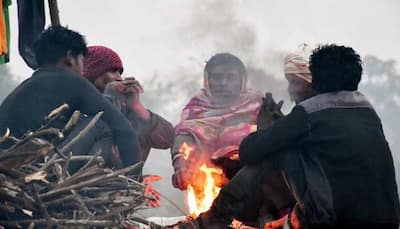 Chilly Winds Grip Punjab, Haryana: These Districts Remain Coldest With 1 Degree Celsius