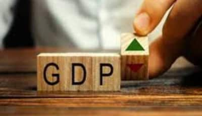 India’s Trend GDP Growth To Move Closer To 6.5-7 Per Cent In FY25: Crisil