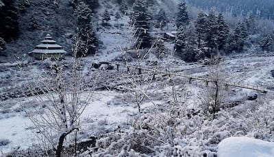 Kashmir, Ladakh Shiver As Severe Cold Wave Grips Region, IMD Issues Yellow Alert; Zojila Freezes at -23°C