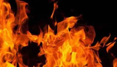 Madhya Pradesh: Four Of Family Killed In Fire At Milk Parlour-Cum-House In Dewas